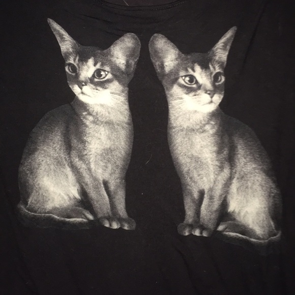 3 for 1! CAT BUNDLE - Picture 2 of 7